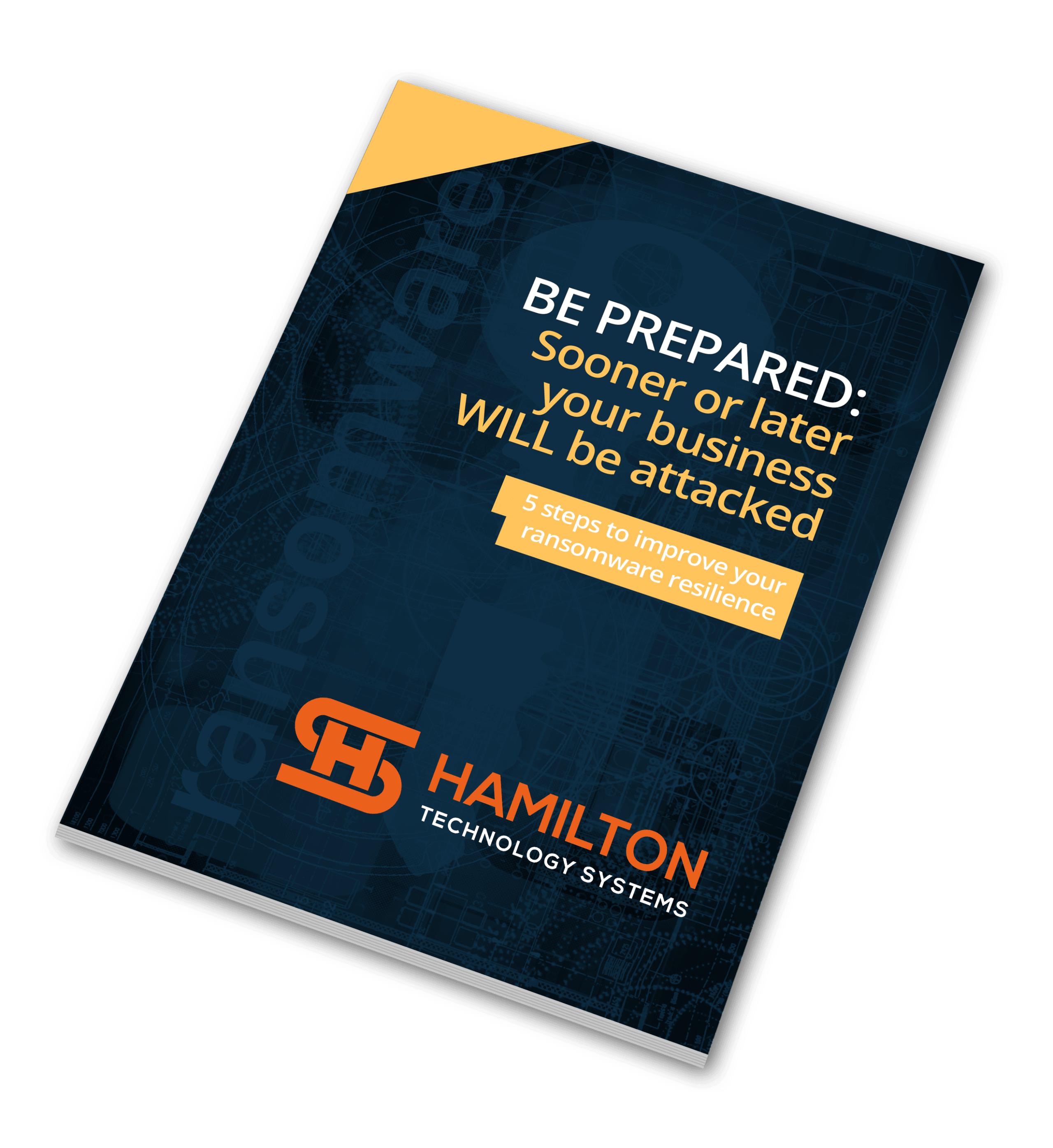 5 Steps to improve your ransomware resilience 3D 5 Steps to improve your ransomware resilience 3D