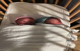 Lily & Rowan