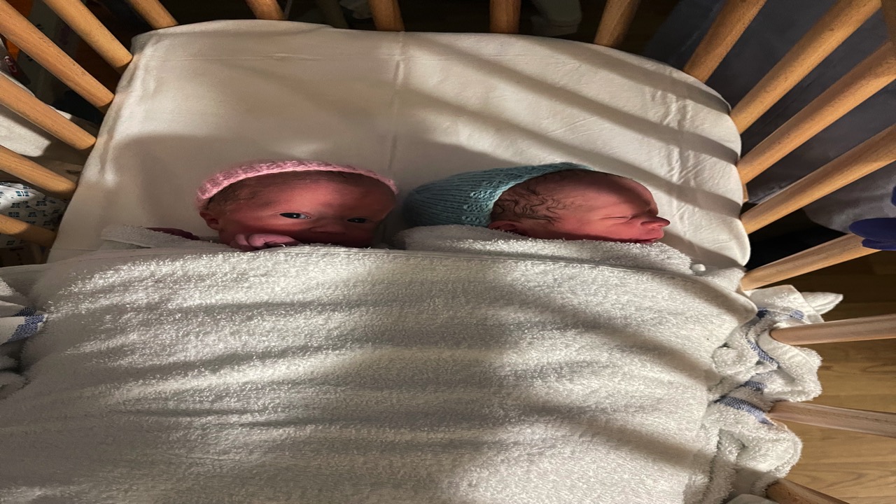 Baby Hamilton