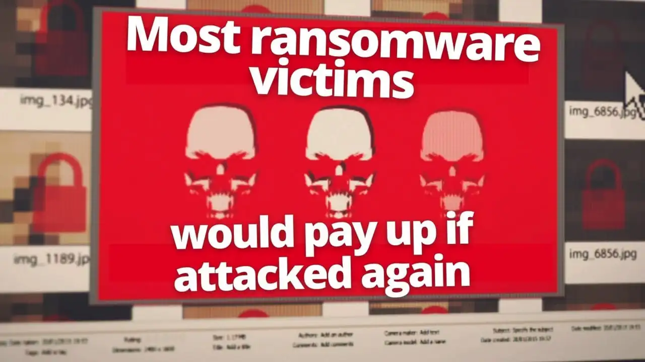 Most Ransomware victims would pay up if attacked again